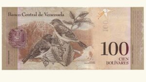 VENEZUELA, 100 Bolívares Fuertes, Diciembre-19-2008, Serie B8, UNC  **MUESTRA SIN VALOR**