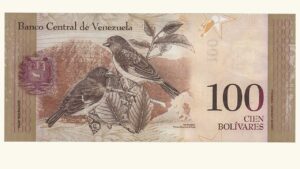 VENEZUELA, 100 Bolívares Fuertes, Septiembre-3-2009, Serie C8, UNC **MUESTRA SIN VALOR**