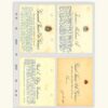 LEUCHTTURM, Hojas Transparentes de 4 Bolsillos - 5 Unidades.  **GRANDE 2CT**