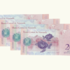 VENEZUELA, 20 Bolívares Fuertes, Diciembre-19-2008, (H8, J8, K8, Z8) UNC **SERIE COMPLETA** - Imagen 2